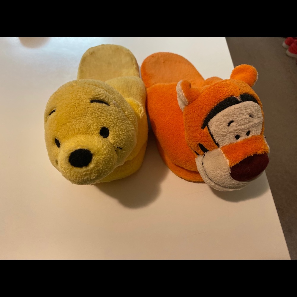 Winnie and the Pooh slipper